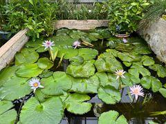 -国家植物园南园