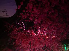 -韵秋荷(宝山龙湖天街店)