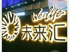 -远洋未来汇