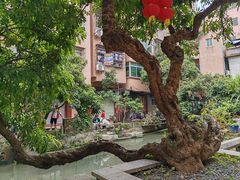 -小洲村