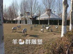 -九十九顶毡房(阜石路店)