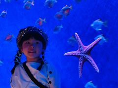 -沈阳海洋探索中心