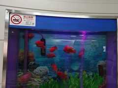 -雅悦齿科(顾村公园店)