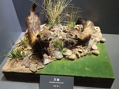 -大庆市博物馆