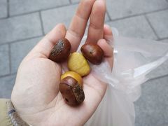 -高记桂花糖炒栗(鼓楼店)