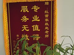 -红蕾家政·保姆·育儿嫂·钟点工