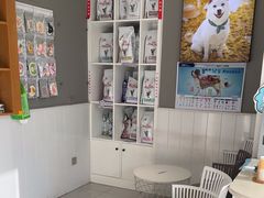 -关爱宠物医院·猫科中心·消化科(滨湖万达分院)