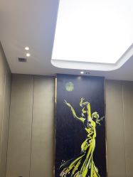 -蓝山医疗美容医院