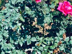 -人民公园(罗湖区)