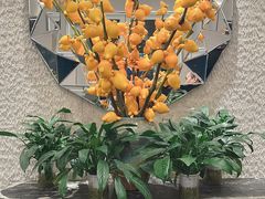 -鹿港小镇(黄金店)