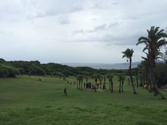 iphone_upload_pic-鹅銮鼻公园