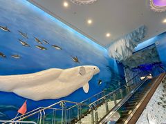 -芜湖新华联大白鲸海洋公园