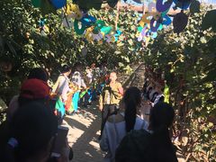 -呀路古热带植物园