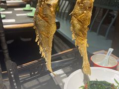 -北平盛世·新京菜·北京烤鸭(劲松·双井店)