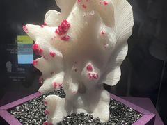 -山东博物馆