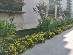 -南宫温泉水世界