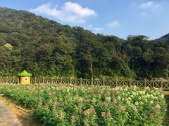 -广州市石门国家森林公园