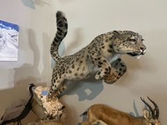 -国家自然博物馆