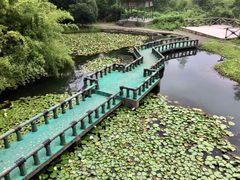 -天下银坑