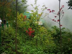 -太阳湾风景区