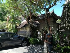 -DiAtas by Art Cafe Bumbu Bali