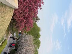 -元大都城垣遗址公园