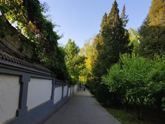-玲珑塔公园