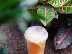 -CoCo都可(中集店)