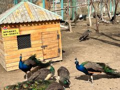 -水上乐园·欢乐世界