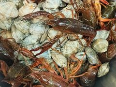 -清真·锦翔炝锅鱼(明德门店)