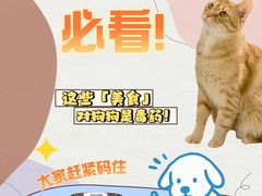 -佩兹宠物医院肿瘤专科·眼科·牙科(黄浦店)