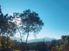 -四季酒店下午茶