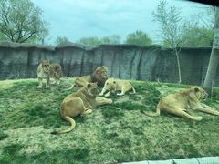 -北京野生动物园