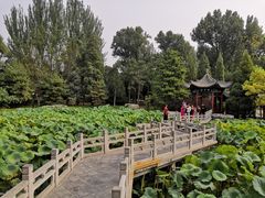 -晋祠公园