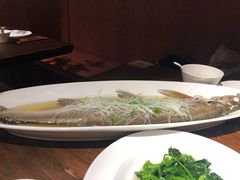 清蒸太湖白鱼-金枝玉叶上海人家食府(三里河店)
