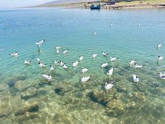 -青海湖国家重点风景名胜区