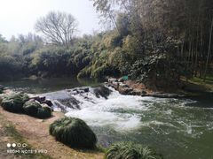 -杭州植物园