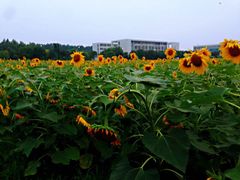 -南京信息职业技术学院