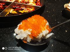-肥龙火锅(南坪店)