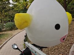 -八大关景区