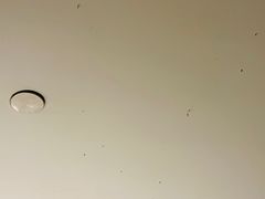 -昆山裕元花园酒店·囍园中餐厅