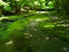 -醍醐寺