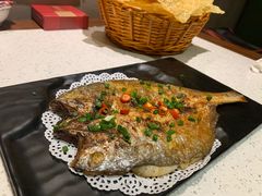 -九府羊·鲜羊火锅·烤串(新华路店)