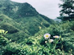 -井空里大峡谷