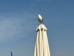 -亚特兰蒂斯水世界冒险乐园