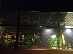 -清迈夜间动物园