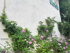 -杭州西湖风景名胜区-满觉陇四眼井