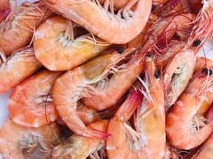 -三亚湾皇冠假日度假酒店·临风大堂酒廊