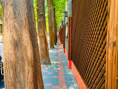 -平成屋· Late Night 食堂(四川北路店)