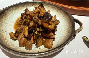 Beef Bone Broth Stew with Mushrooms